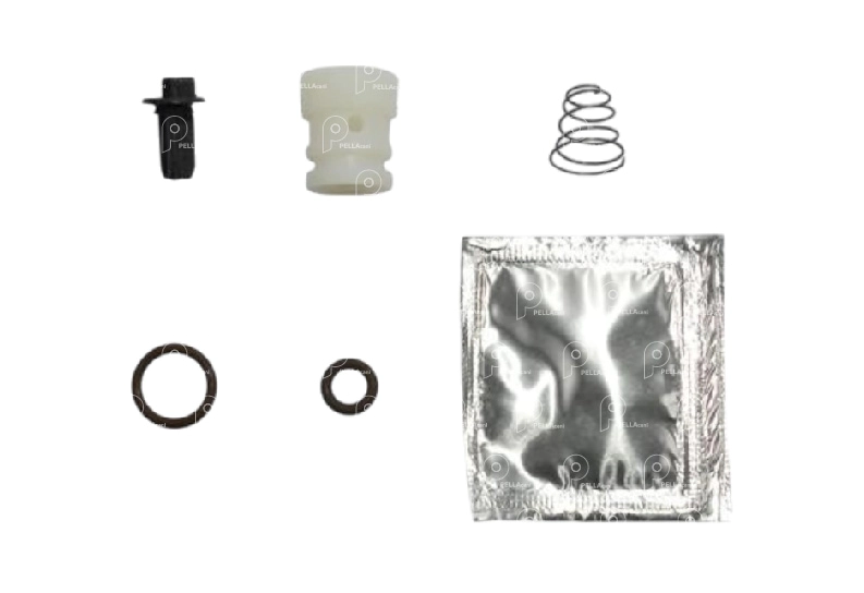 Kit Rep antiretorno Secador E-Apu - Scania