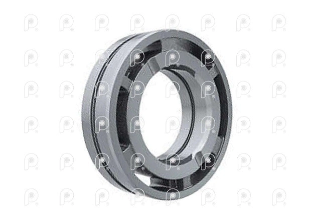 Cojinete axial adapt W85 Volvo / Renault - TR