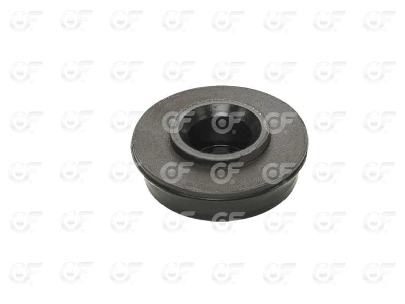 Buje inferior de radiador VW 17310/18310 (x1)