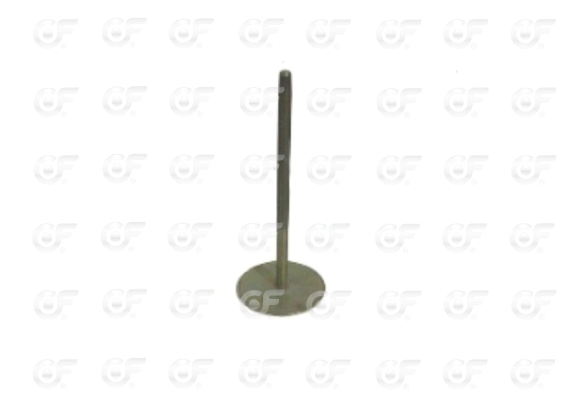 Vastago camara 24