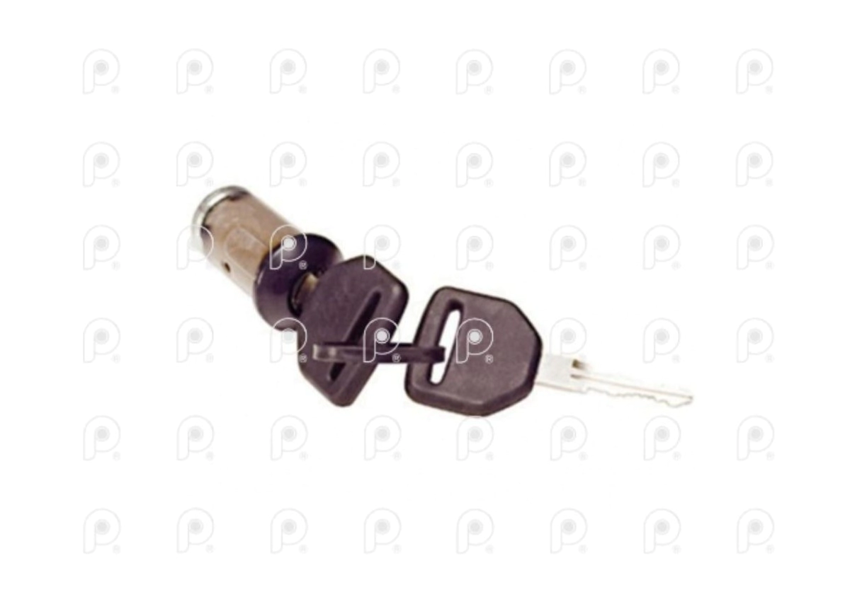 Cilindro de encendido Ford Cargo 1722