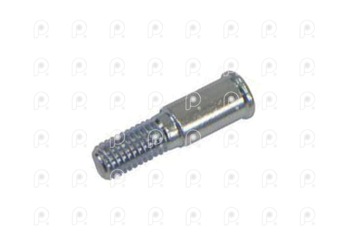 Tornillo reten puerta Der IZ Scania - x2 unid