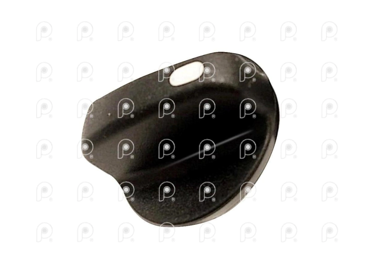 Perilla control de luces Scania 113