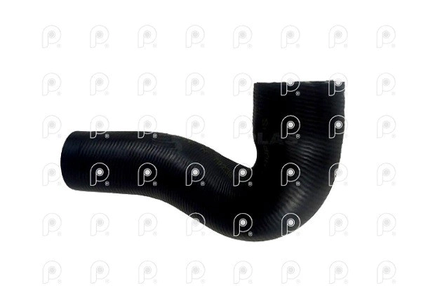 Manguera radiador Iveco Cavallino Cursor