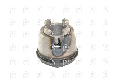 Mecanismos de ajuste Caliper Haldex Renault