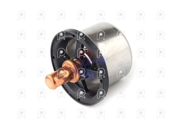 Termostato Volvo NL10 FH FM 82ºC