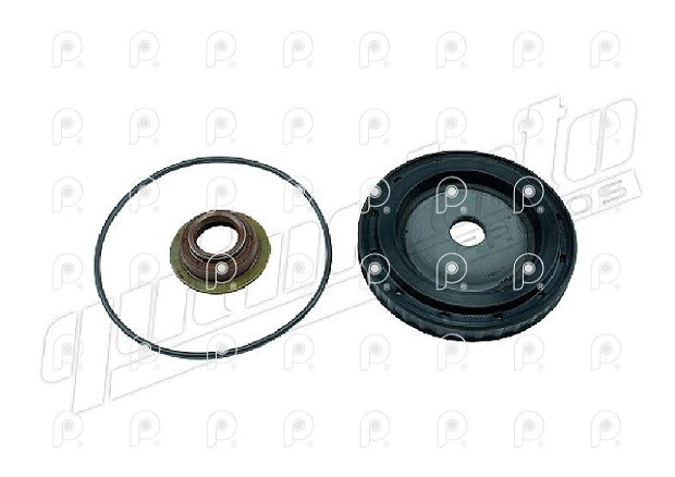 Kit Rep. cilindro AB con pistón Zf 9S1110T QN
