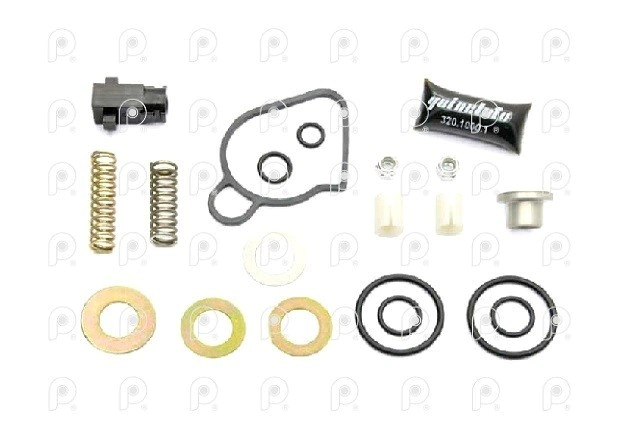 Kit rep válvula bigote Knorr Scania S4 QN
