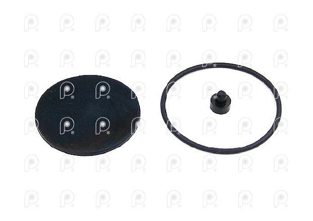 Kit Rep. válvula descarga rápido Qn