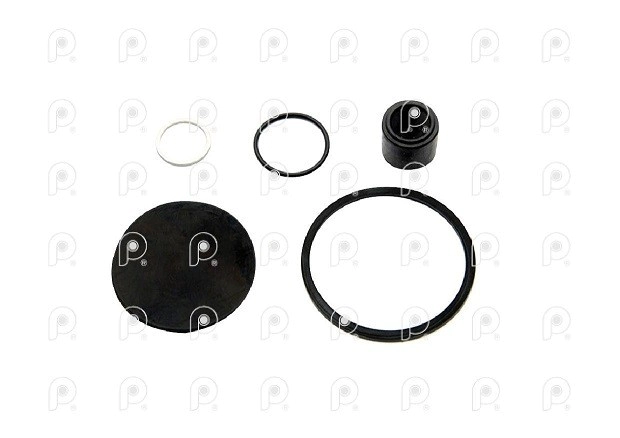 Kit rep válvula descarga rap Ford VW QN