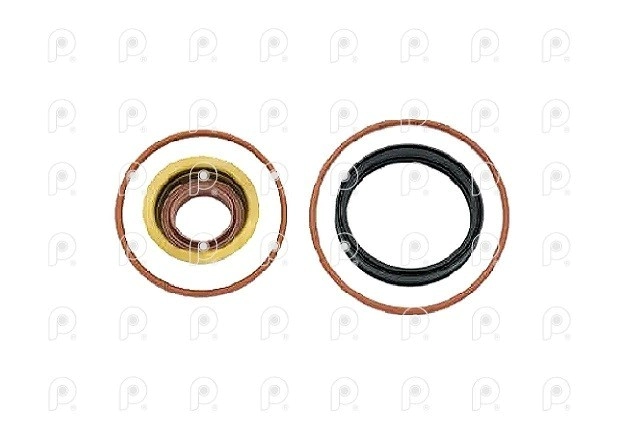 Kit rep cilindro A /B caja ZF 16S221 Stralis