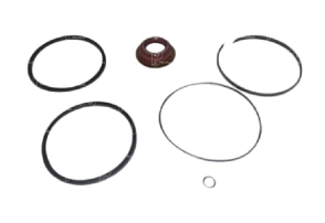 Kit reparación cilindro A B ZF 16S1650 1300 QN