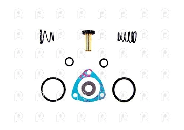Kit reparación Válvula Bigote tipo Bendix Scania QN