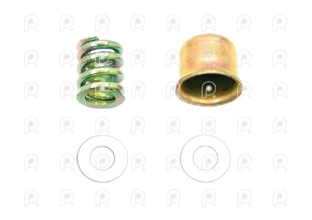 Conjunto resorte válvula frenos mano Wabco QN