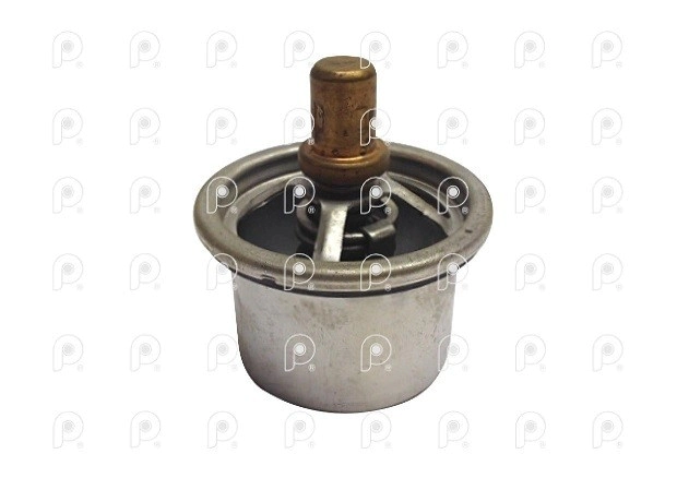 Termostato Cursor eurotech Cavallino 86°C