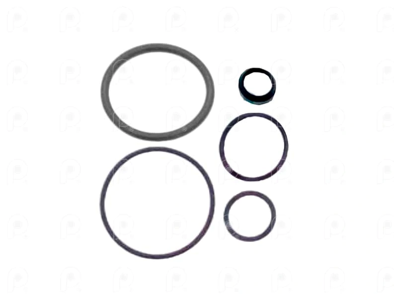 Juego rep cilindro  GRS900 oring grande