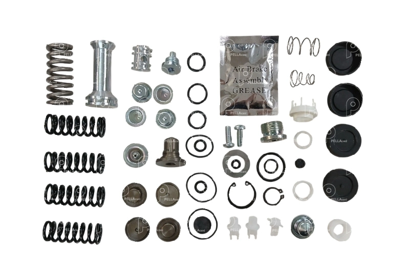 Kit de reparación válvula protectora Iveco
