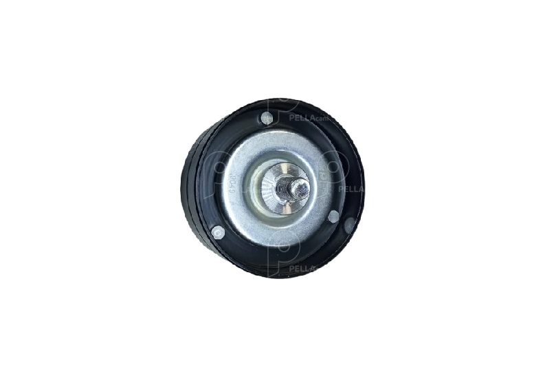 Rodillo fijo tensor Renault Midlum