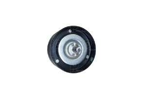 Rodillo fijo tensor Renault Midlum