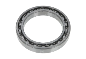 Rodamiento caja ZF 16S1650 1300 Kz