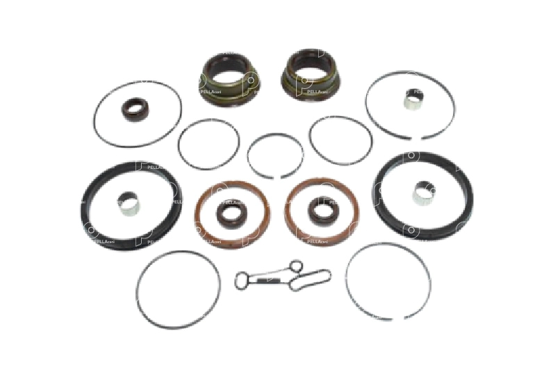 Juego rep selectora cambio As-tronic Iveco