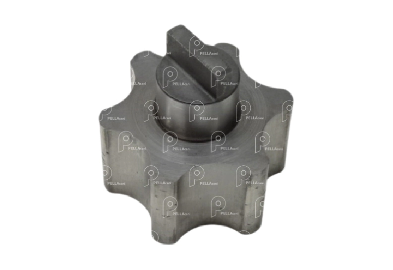 Engranaje bomba de aceite 16S221 ZF