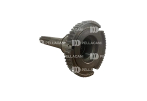 Directa caja ZF 16S221 Iveco PREMIUM