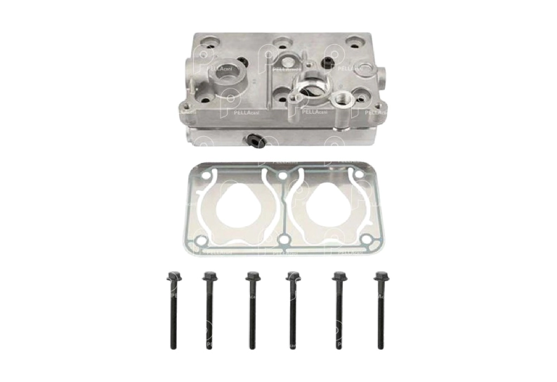 Tapa Completa W85 Bic Renault Premium TR